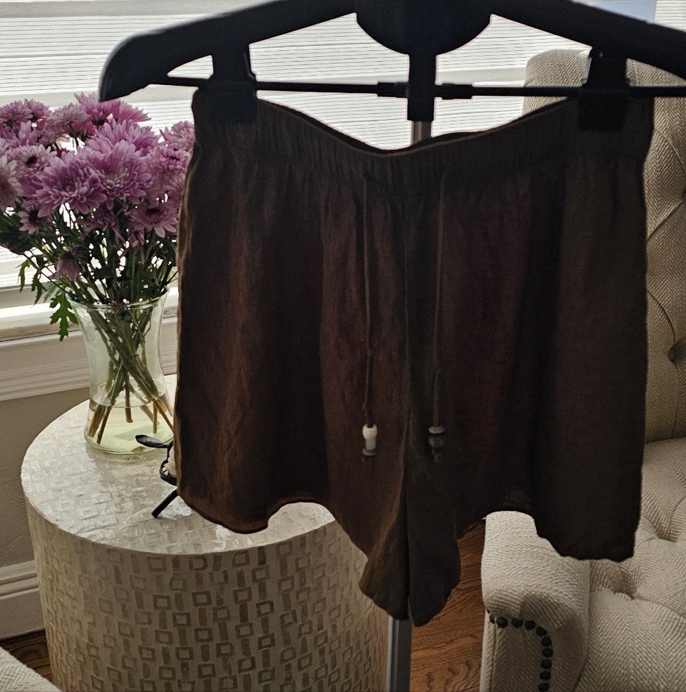 Zara Beautiful Brown Shorts